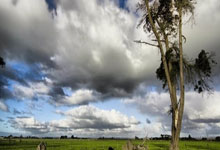 球速体育 -全明星赛清晨走向成谜，瓦伦西亚调整名单，震撼外界，细节决定成败的简单介绍